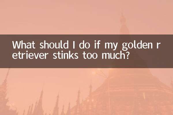 यदि मेरे गोल्डन रिट्रीवर से बहुत अधिक बदबू आती है तो मुझे क्या करना चाहिए?