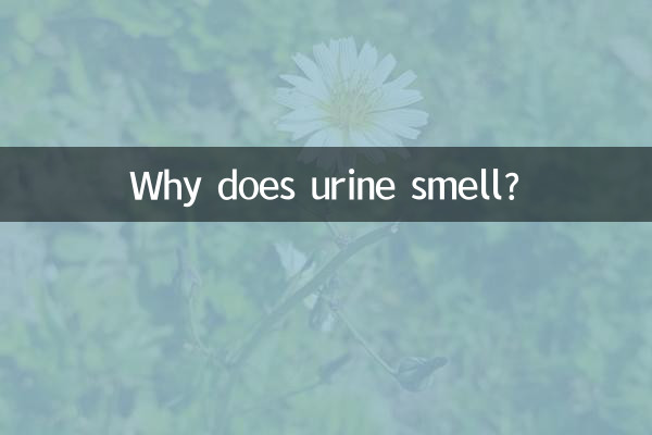 소변 냄새는 왜 나는 걸까요?
