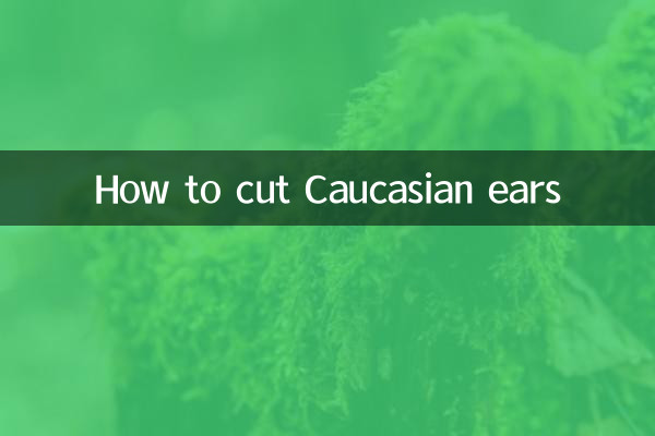 Wie man kaukasische Ohren schneidet