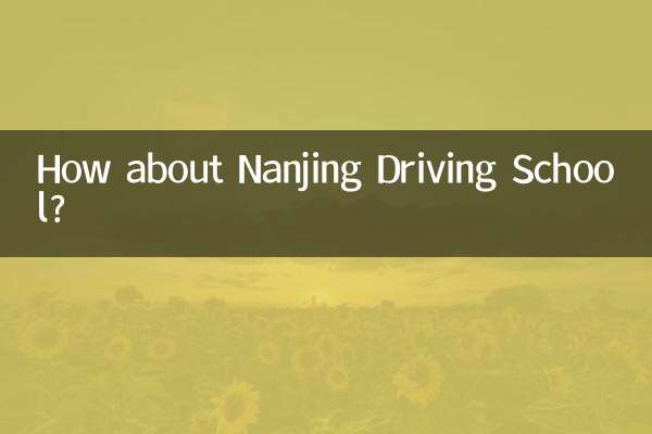 How about Nanjing Driving School?
