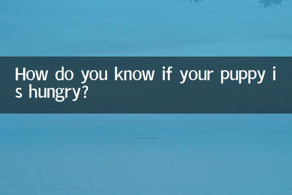 आपको कैसे पता चलेगा कि आपका पिल्ला भूखा है?