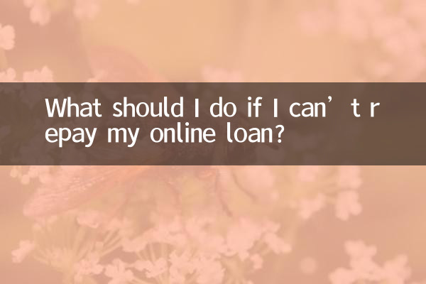 網貸還不起怎麼辦