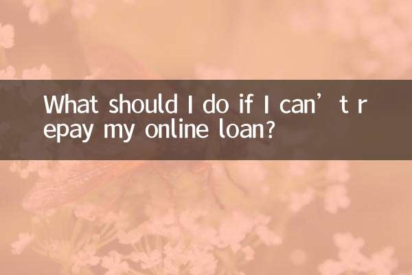網貸還不起怎麼辦