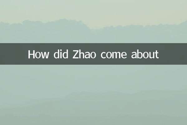 How did Zhao come about