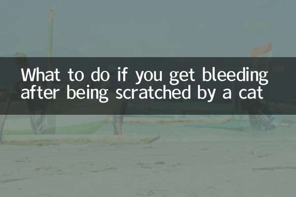 What to do if you get bleeding after being scratched by a cat