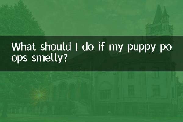 What should I do if my puppy poops smelly?