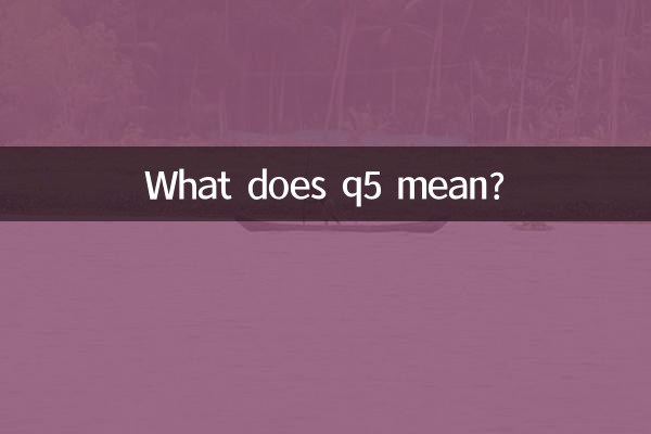 q5은 무슨 뜻인가요?