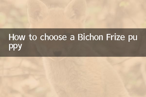 Come scegliere un cucciolo di Bichon Frise