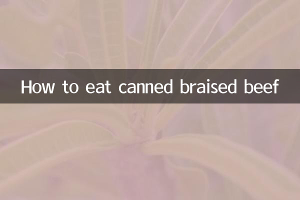 Como comer carne assada em lata