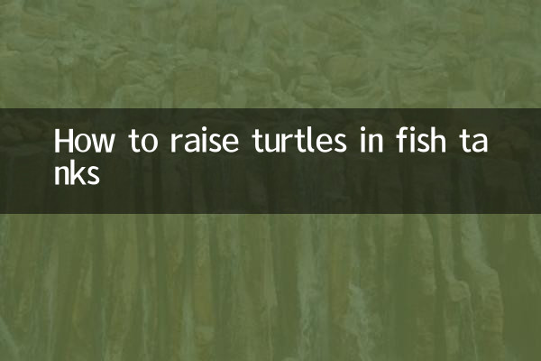 Cómo criar tortugas en peceras