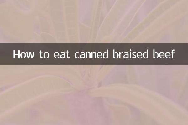 Comment manger du bœuf braisé en conserve