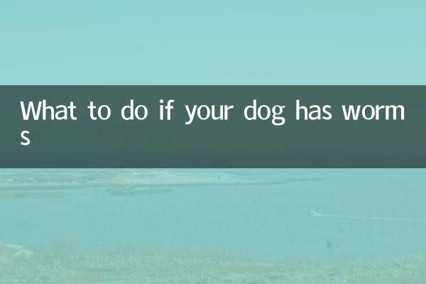 Qué hacer si tu perro tiene lombrices