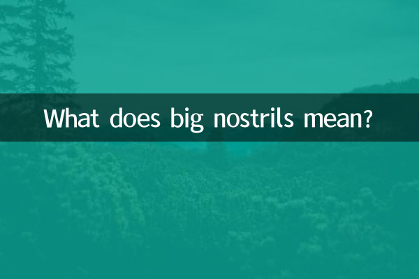 Cosa significa narici grandi?