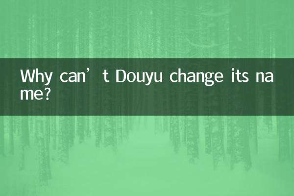 Pourquoi Douyu ne peut-il pas changer de nom ?