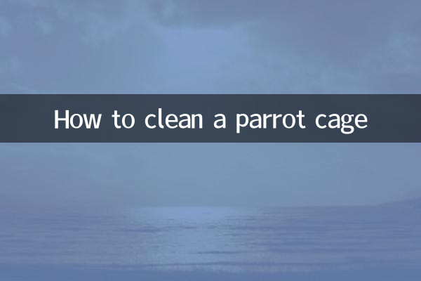 كيفية تنظيف قفص الببغاء
