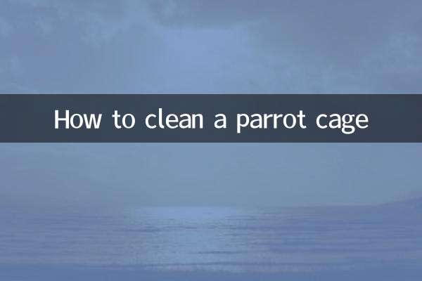 鸚鵡籠怎麼清洗