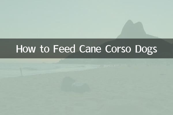 カネコルソ犬に餌をやる方法