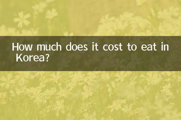 কোরিয়াতে খাওয়ার খরচ কত?