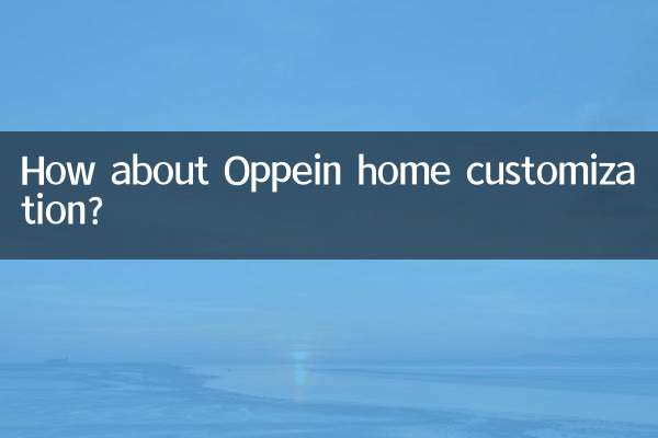 Oppein 홈 커스터마이징은 어떻습니까?