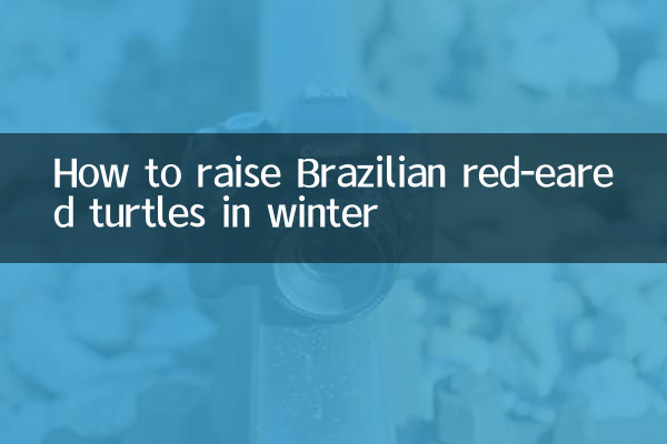 巴西紅耳龜冬天怎麼養