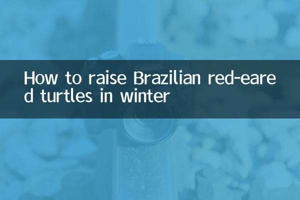 巴西紅耳龜冬天怎麼養