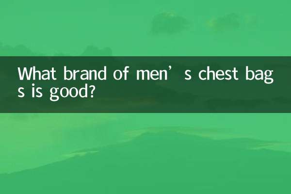 পুরুষদের বুকের ব্যাগ কোন ব্র্যান্ডের ভালো?