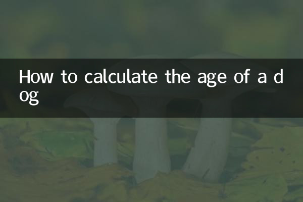 Как рассчитать возраст собаки