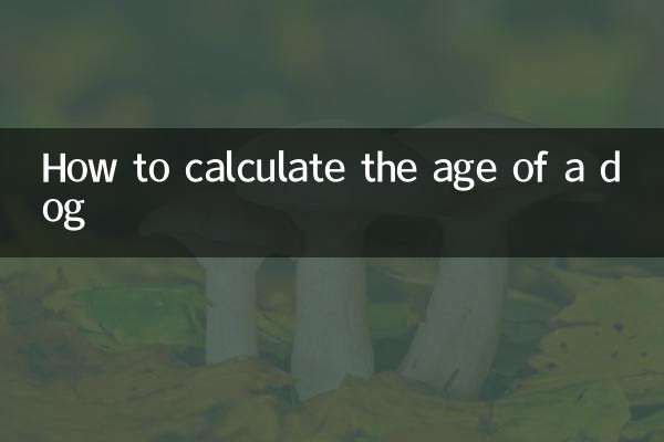 狗狗怎么计算年龄