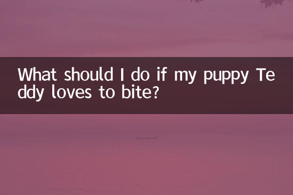 Cosa devo fare se il mio cucciolo Teddy ama mordere?