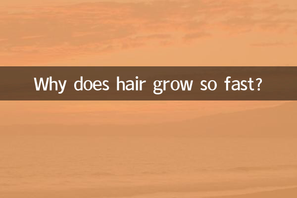 머리카락은 왜 이렇게 빨리 자라나요?