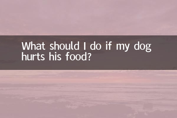 狗狗傷食了怎麼辦