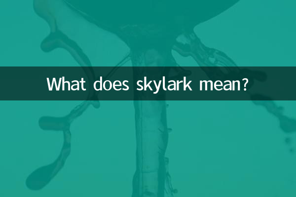 What does skylark mean?