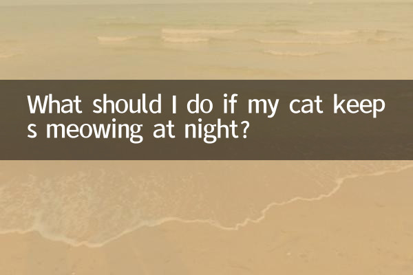 What should I do if my cat keeps meowing at night?