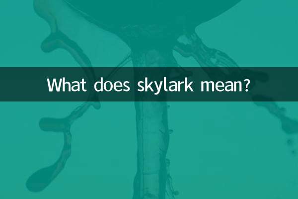 What does skylark mean?