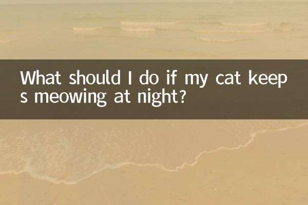 What should I do if my cat keeps meowing at night?