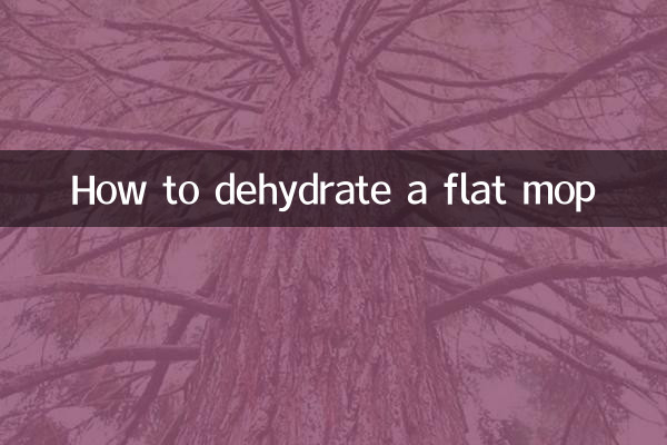 납작한 걸레를 탈수하는 방법