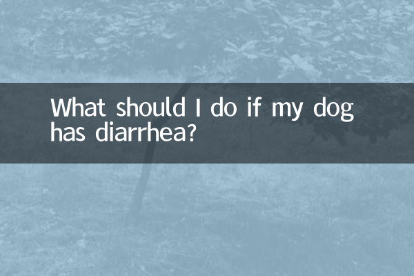 강아지가 설사를 하면 어떻게 해야 하나요?