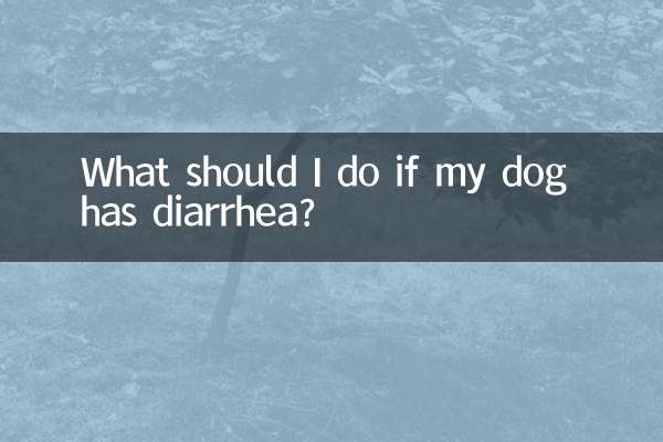 আমার কুকুরের ডায়রিয়া হলে আমার কী করা উচিত?