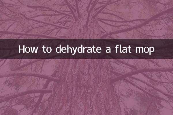কিভাবে একটি ফ্ল্যাট মপ ডিহাইড্রেট করা যায়