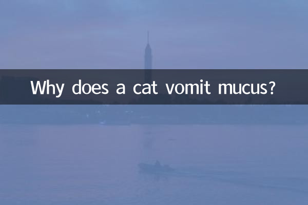 貓吐粘液是怎麼回事