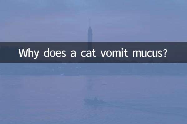 貓吐粘液是怎麼回事