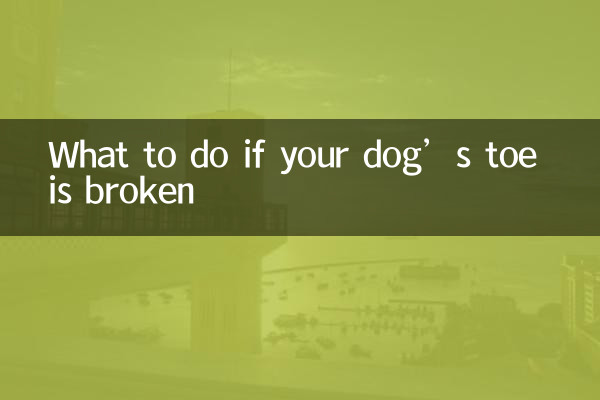اگر انگشت پای سگ شما شکسته است چه باید کرد؟