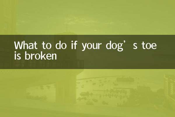 اگر انگشت پای سگ شما شکسته است چه باید کرد؟
