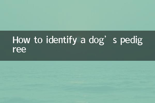 Comment identifier le pedigree d'un chien