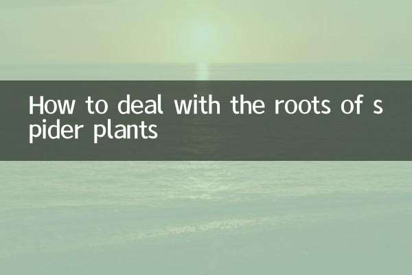 Come affrontare le radici delle piante ragno