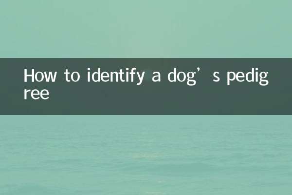 Comment identifier le pedigree d'un chien