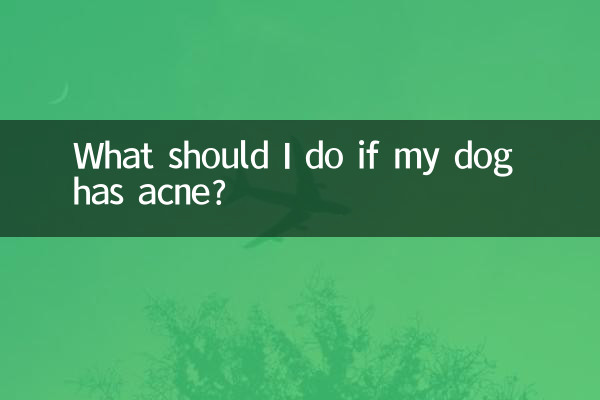 यदि मेरे कुत्ते को मुँहासे हो तो मुझे क्या करना चाहिए?
