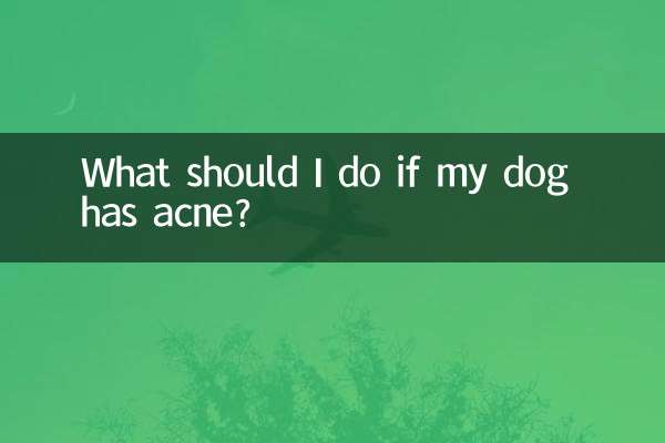 यदि मेरे कुत्ते को मुँहासे हो तो मुझे क्या करना चाहिए?