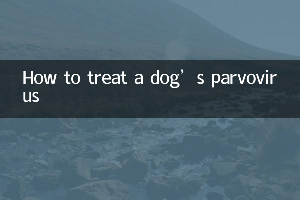 কুকুরের পারভোভাইরাস কীভাবে চিকিত্সা করবেন