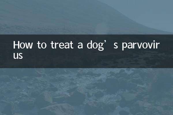 কুকুরের পারভোভাইরাস কীভাবে চিকিত্সা করবেন